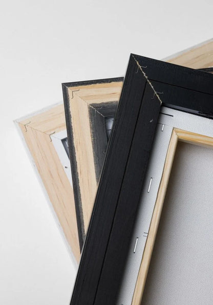 The Anarchist | Framed canvas